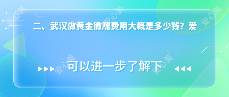 二、武汉做黄金微雕费用大概是多少钱？爱美汇5060、韩辰5080、米瑞可4869