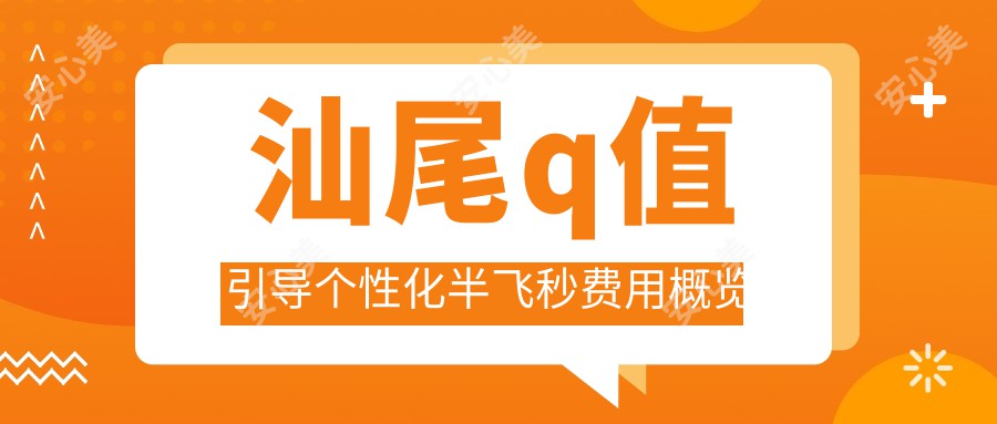 汕尾q值引导个性化半飞秒费用概览