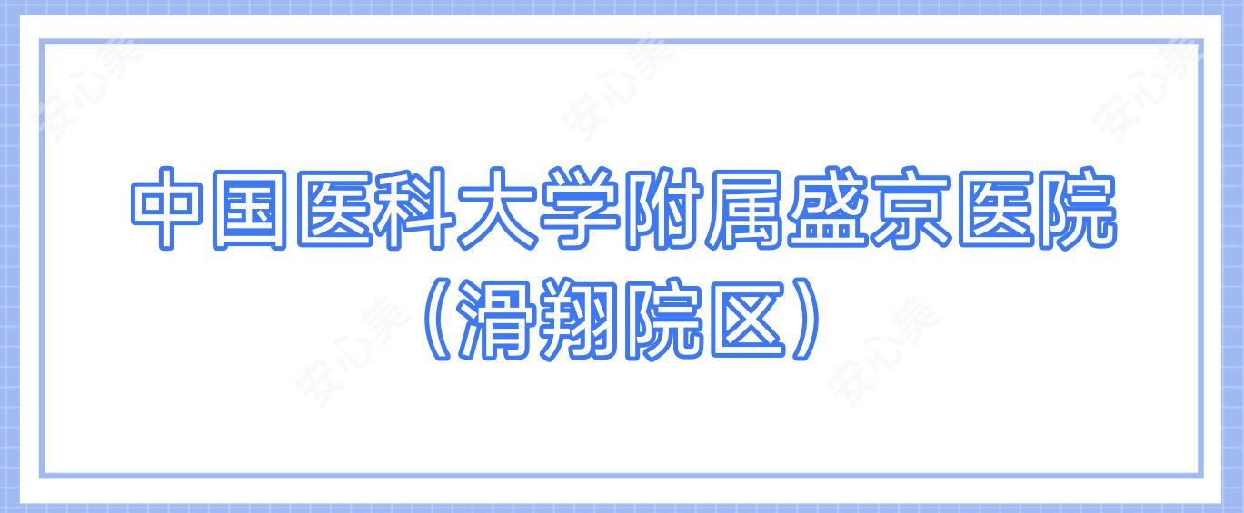 国内医科大学附属盛京医院（滑翔院区）