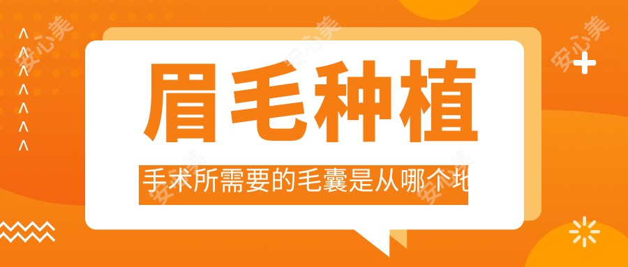 眉毛种植手术所需要的毛囊是从哪个地方提取来的