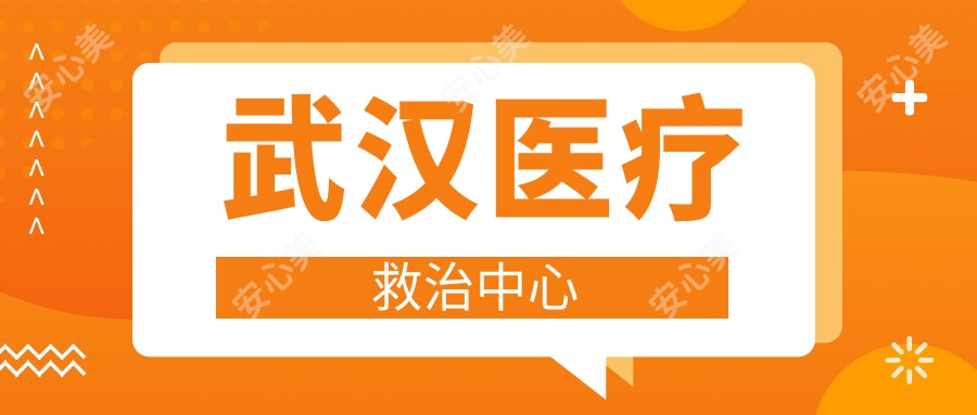 武汉医疗救治中心