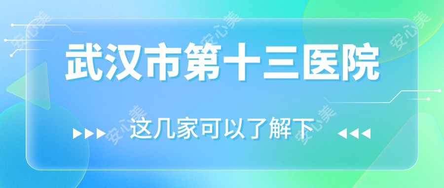 武汉市第十三医院