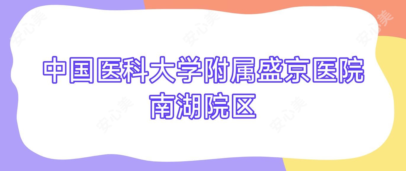国内医科大学附属盛京医院南湖院区