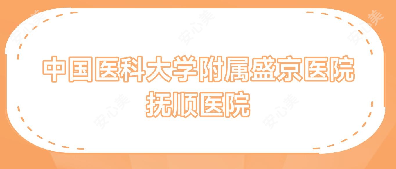 国内医科大学附属盛京医院抚顺医院