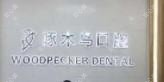 啄木鸟牙科(文化路店) 