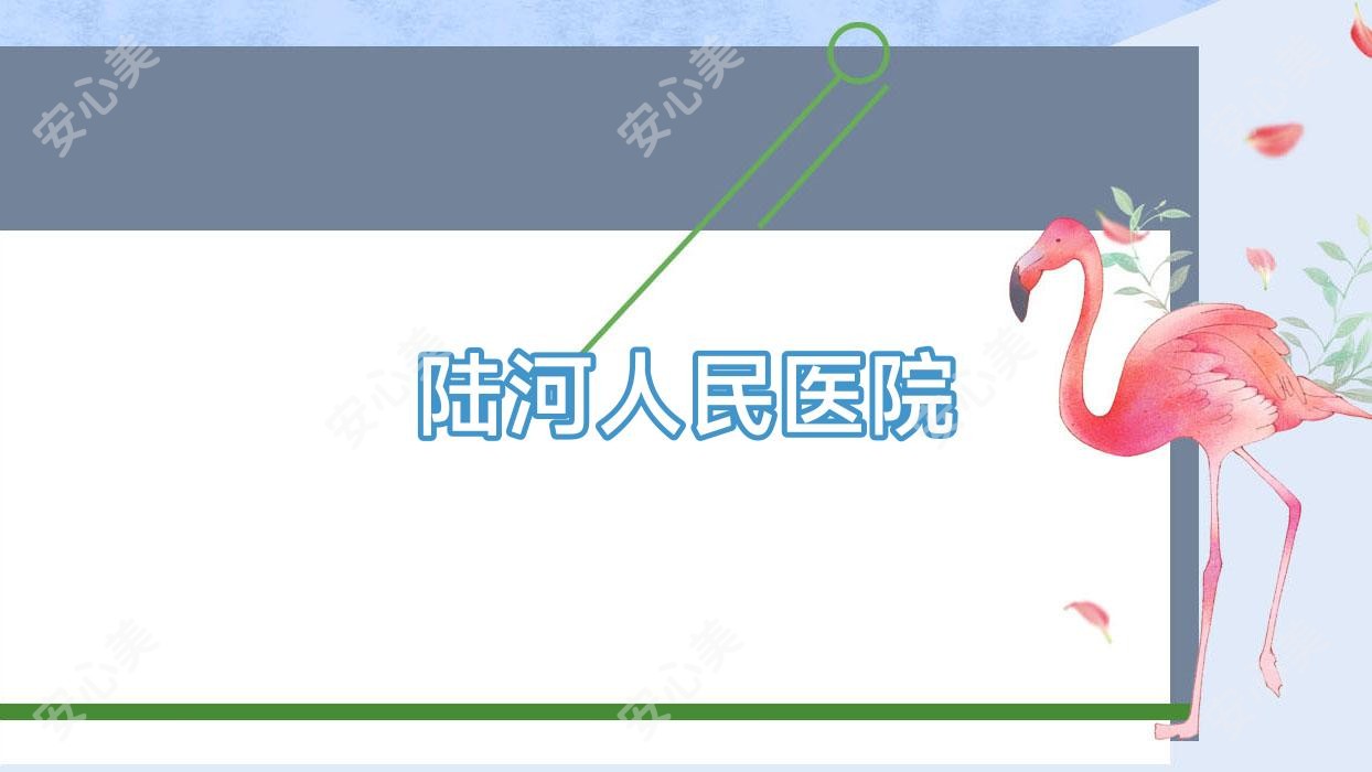陆河人民医院