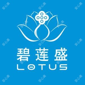 新疆碧莲盛 | 专科植发国内连锁