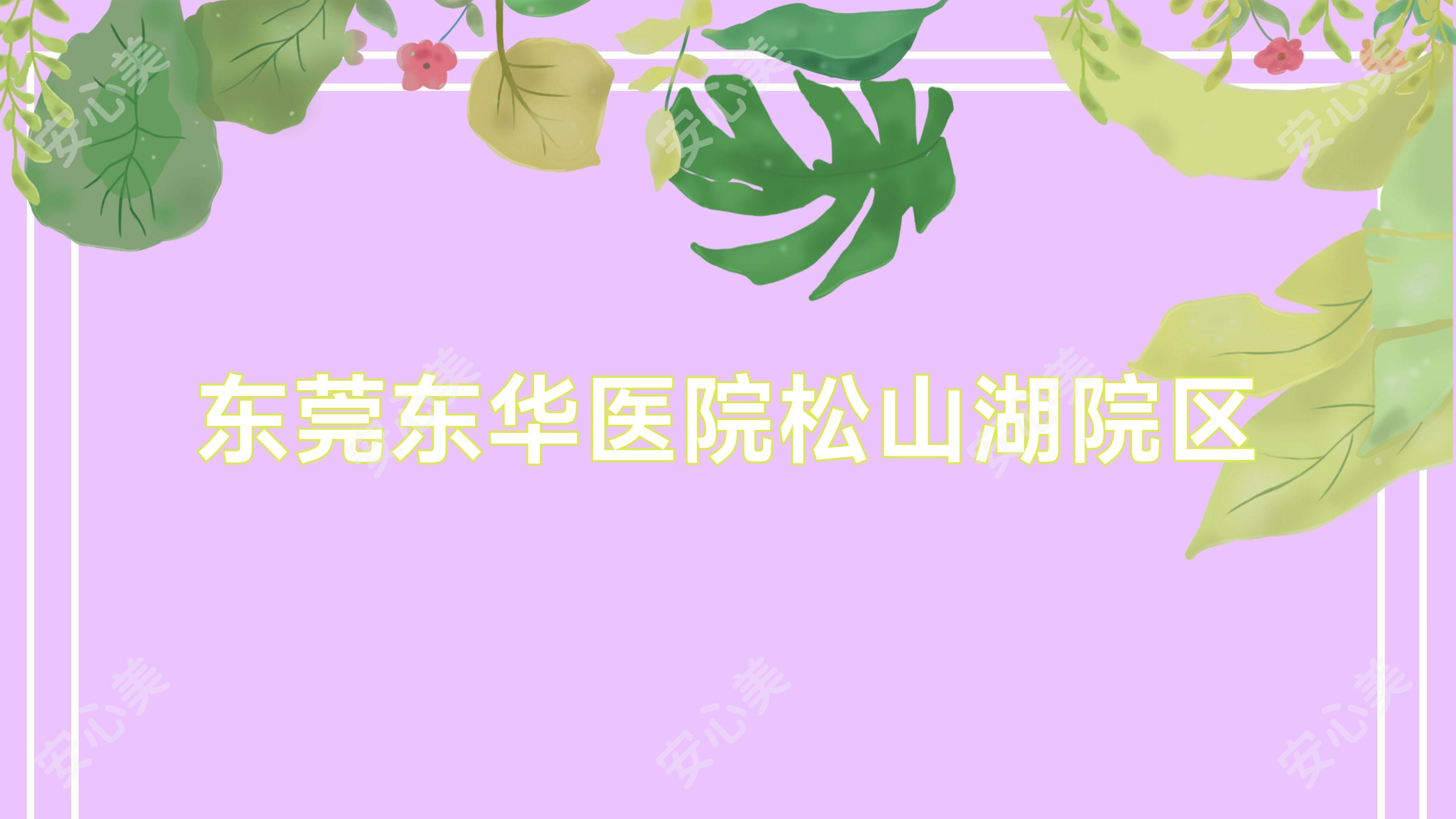 东莞东华医院松山湖院区