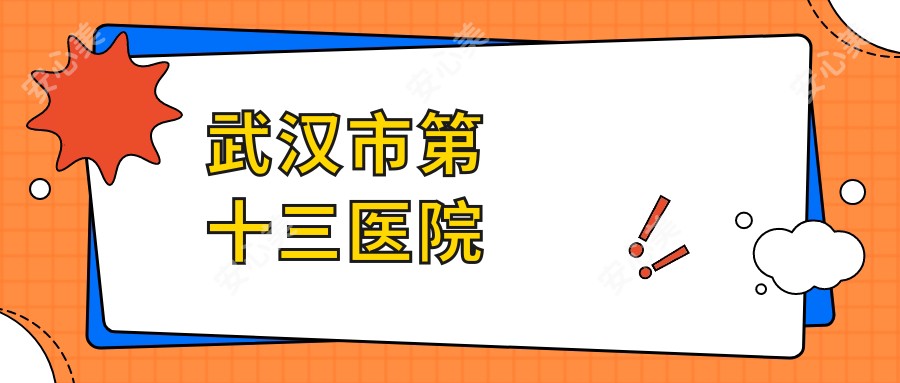 武汉市第十三医院