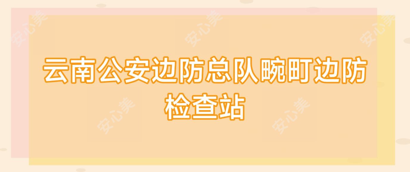 云南公安边防总队畹町边防检查站