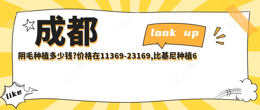 成都阴毛种植多少钱?价格在11369-23169,比基尼种植6千-3万