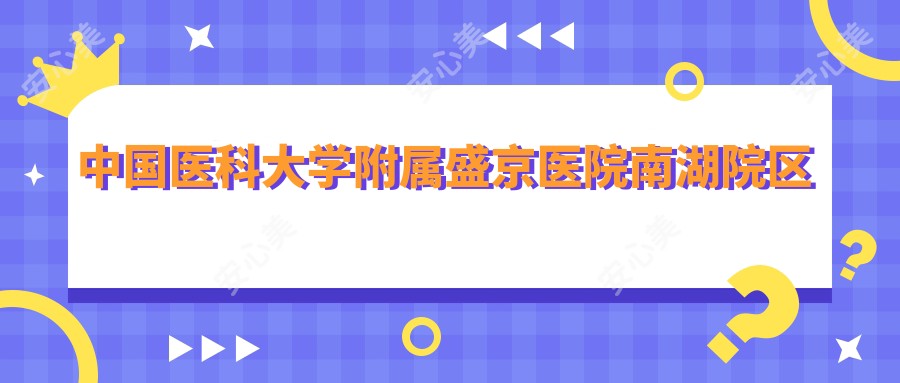 国内医科大学附属盛京医院南湖院区