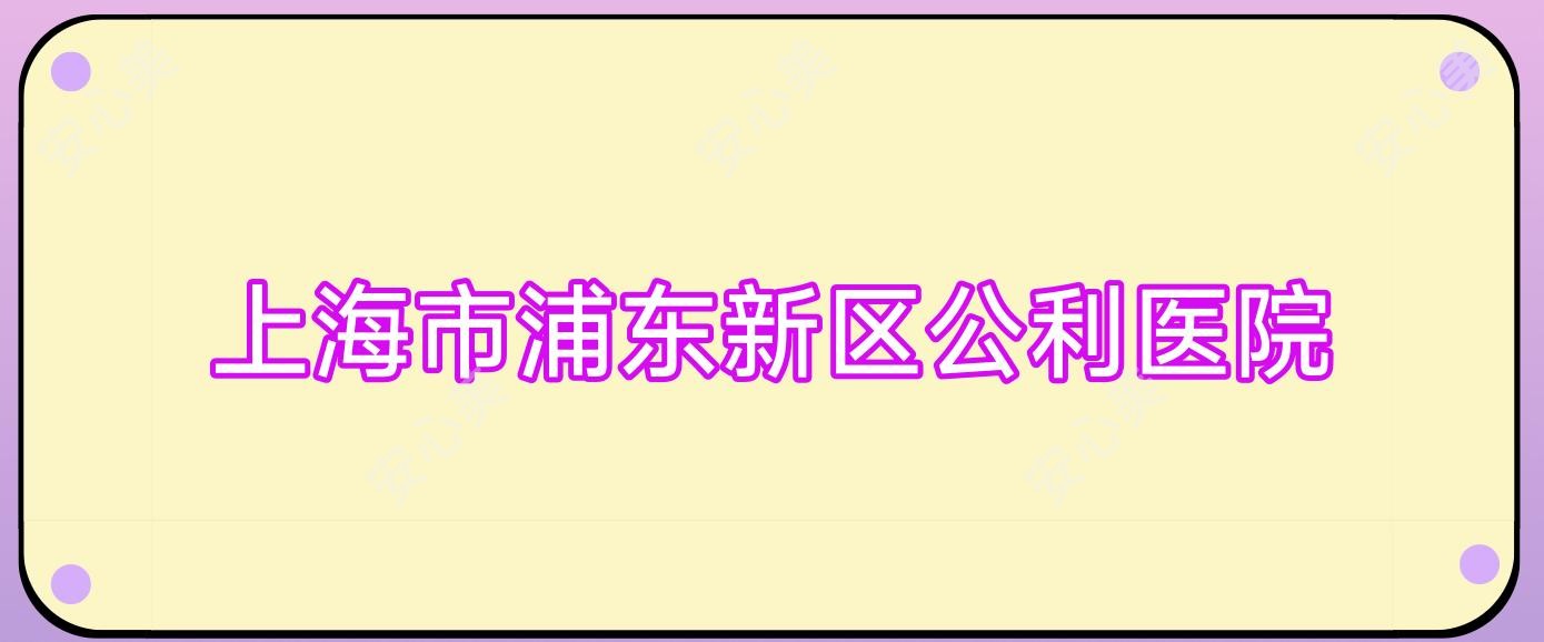 上海市浦东新区公利医院