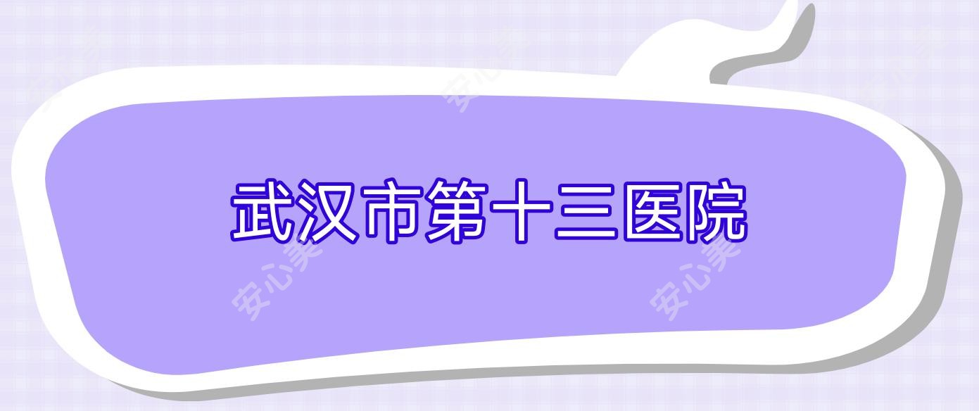 武汉市第十三医院