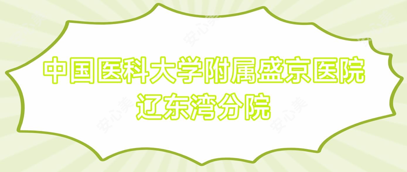 国内医科大学附属盛京医院辽东湾分院