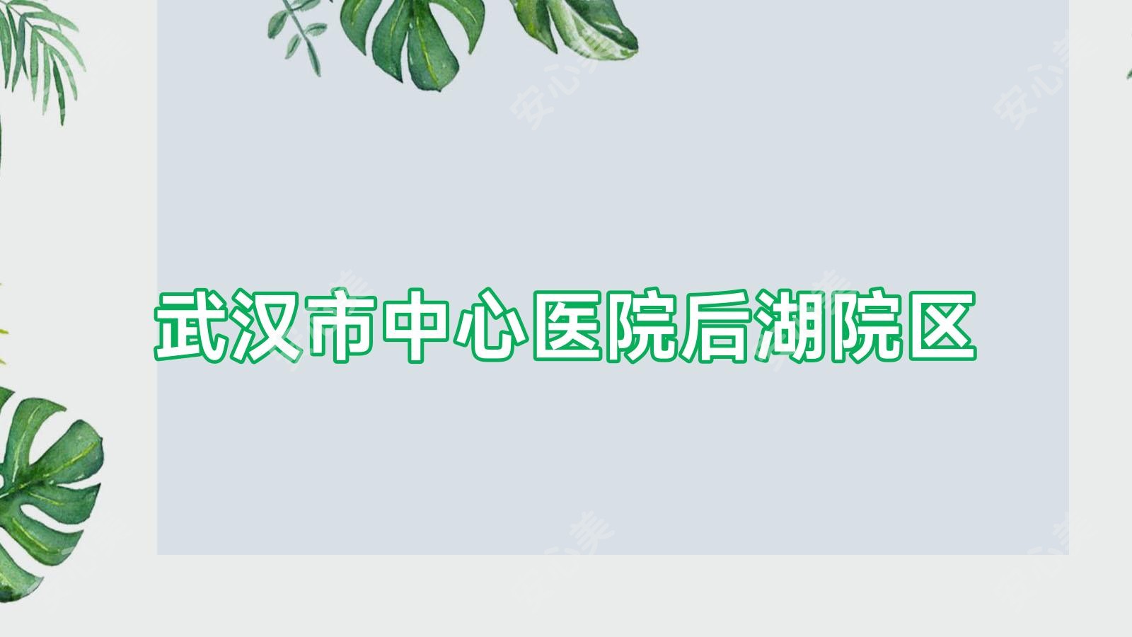 武汉市中心医院后湖院区