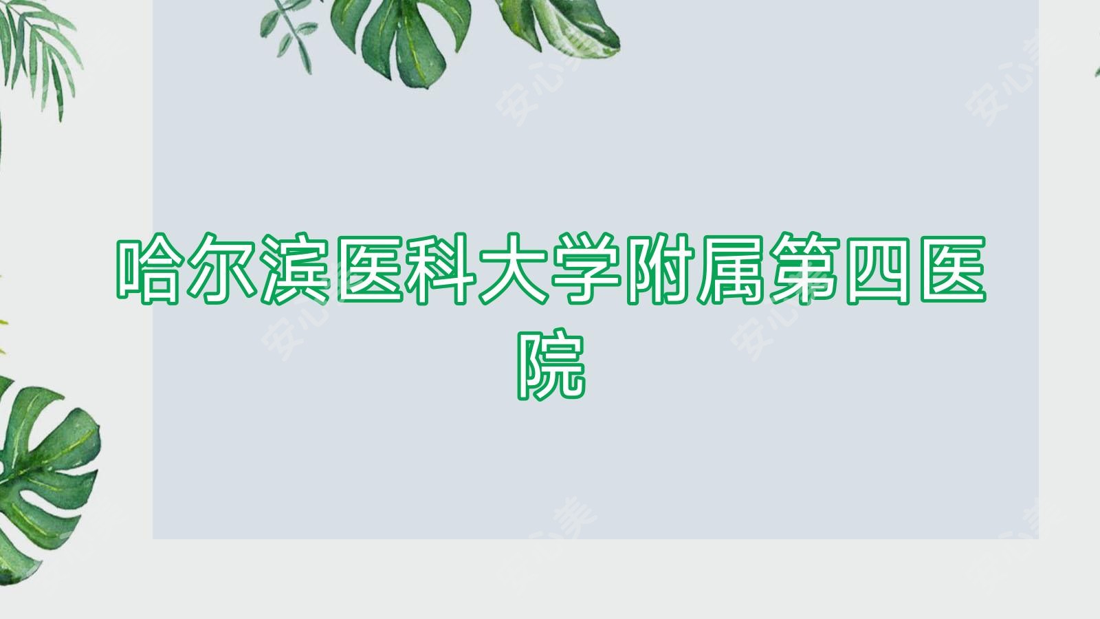 哈尔滨医科大学附属第四医院