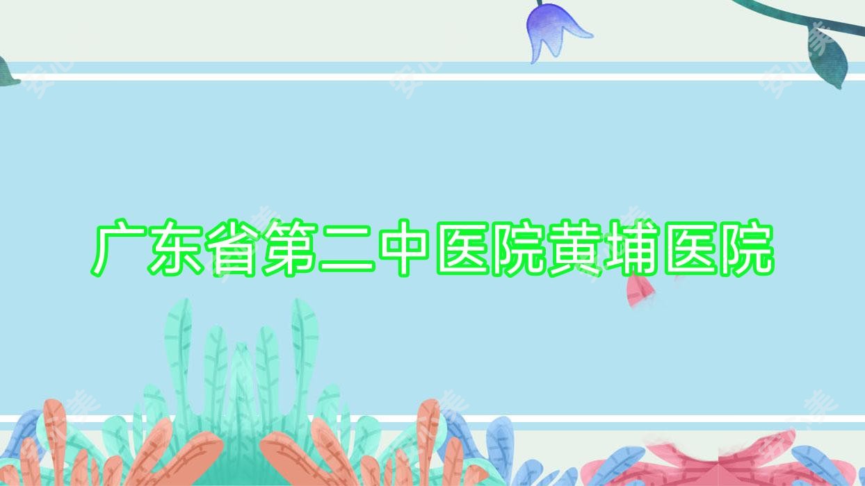 广东省第二中医院黄埔医院