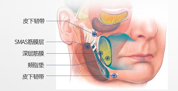 郑州筋膜提升医生推荐：朱自刚 vs 尚明明